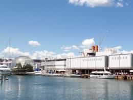 Aquarium of Genoa