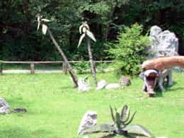 Prehistoric Park
